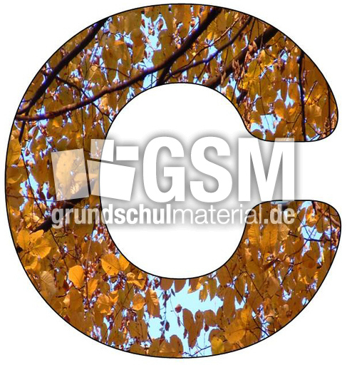 Herbstbuchstabe-C.jpg